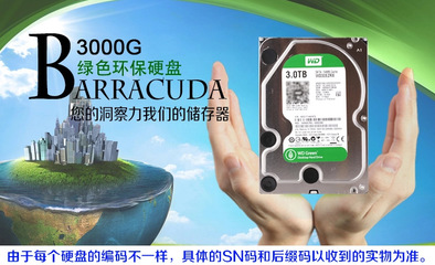 深度剖析 西部數(shù)據(jù)WD30EZRX綠盤3TB硬盤的性能與市場(chǎng)定位